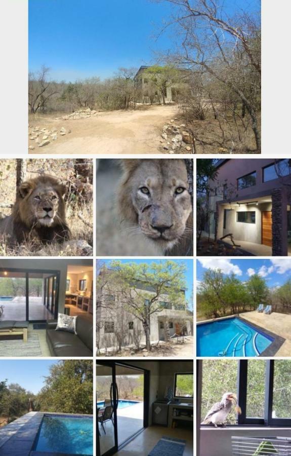 Lionsview Private Lodge - 6 Lions Marloth Park Buitenkant foto