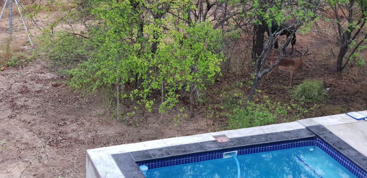 Lionsview Private Lodge - 6 Lions Marloth Park Buitenkant foto